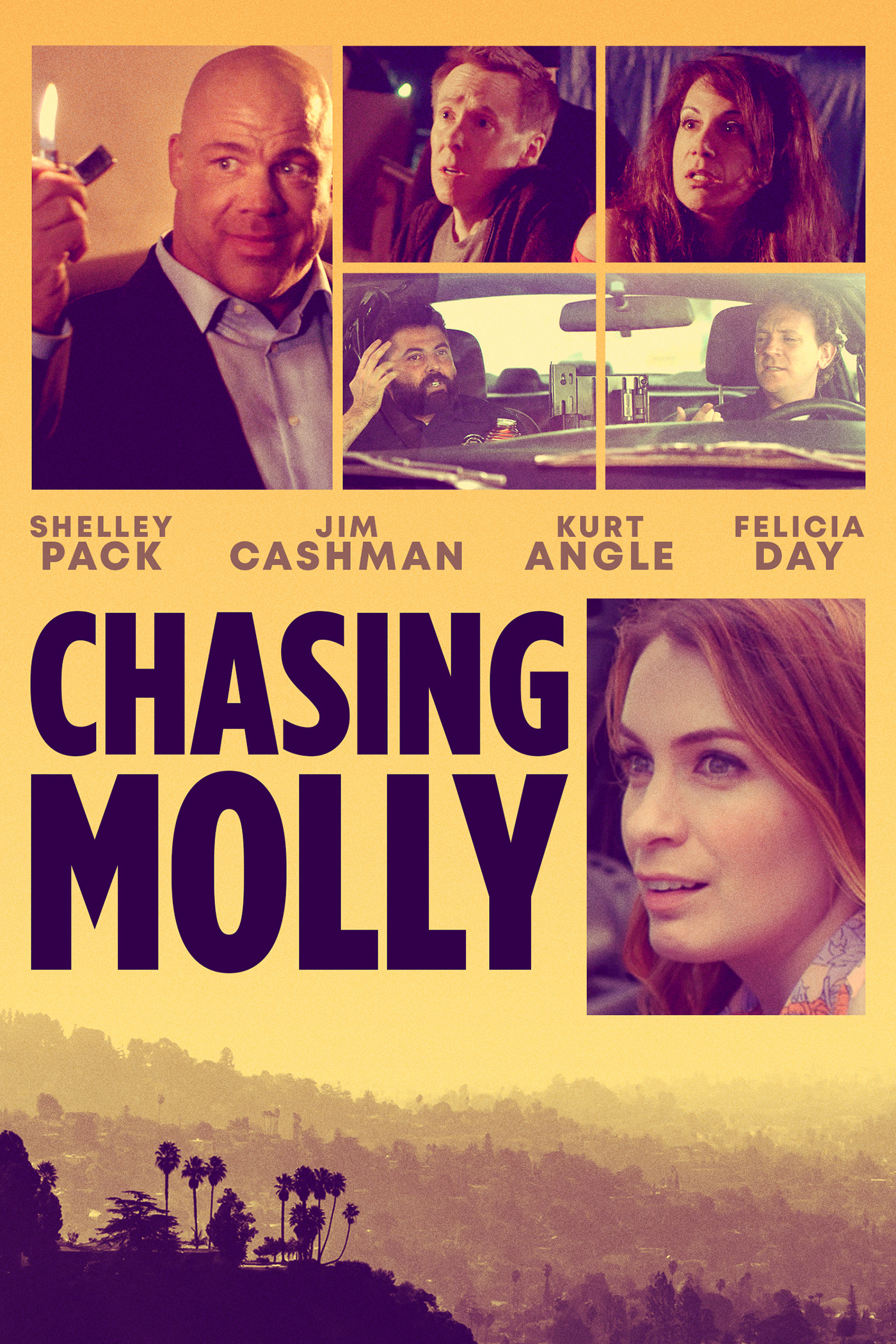 chasingmollyposter